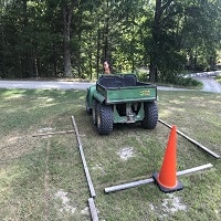 gator