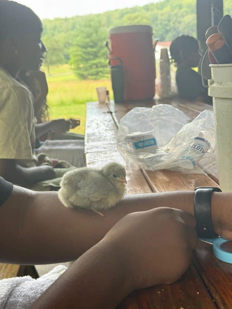 "How Do I Donate?" 1