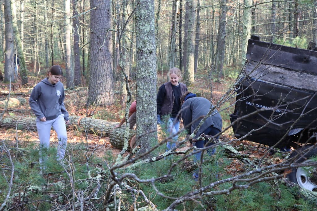 Forgiving Debts: 2025 Woodcutting Season 6