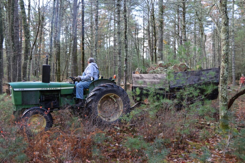 Forgiving Debts: 2025 Woodcutting Season 11