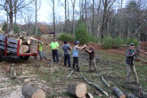 Forgiving Debts: 2025 Woodcutting Season 3