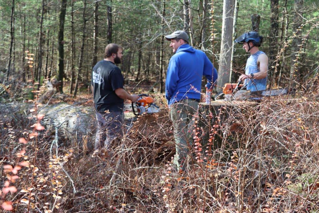 Forgiving Debts: 2025 Woodcutting Season 15