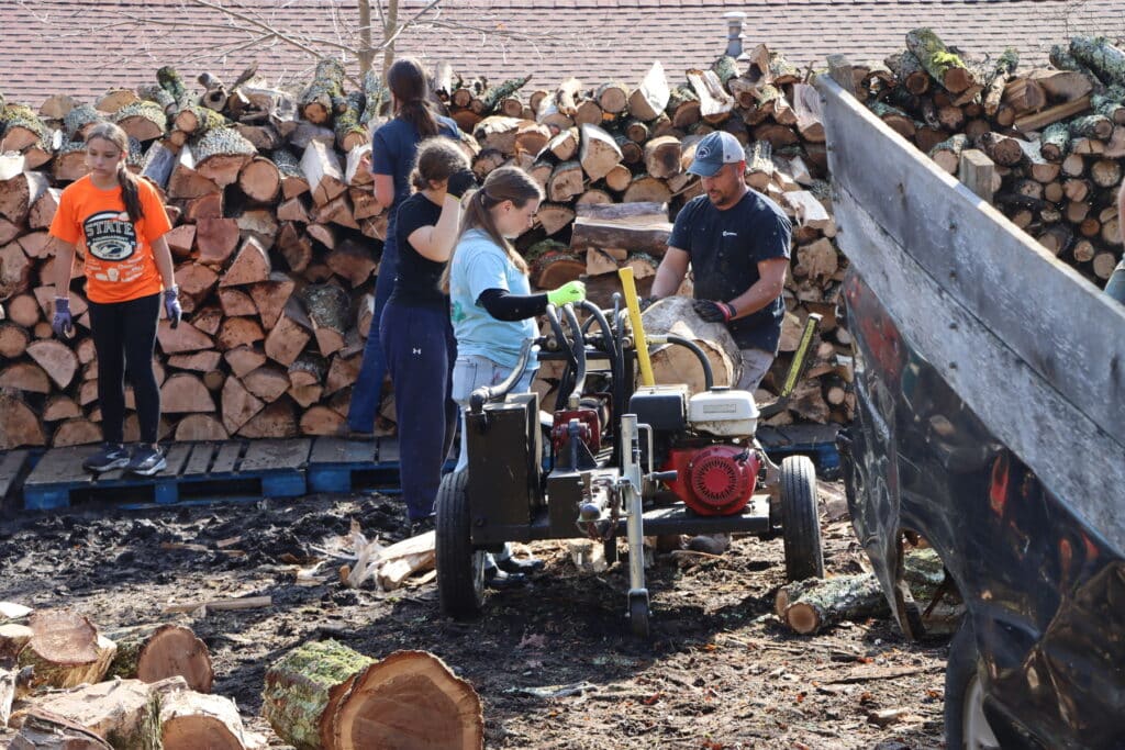 Forgiving Debts: 2025 Woodcutting Season 17