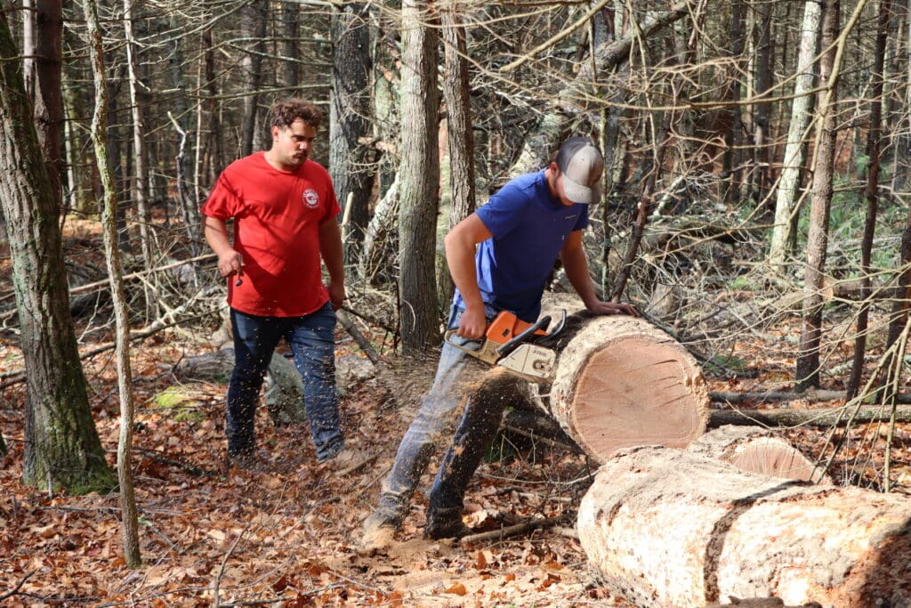 Forgiving Debts: 2025 Woodcutting Season 18